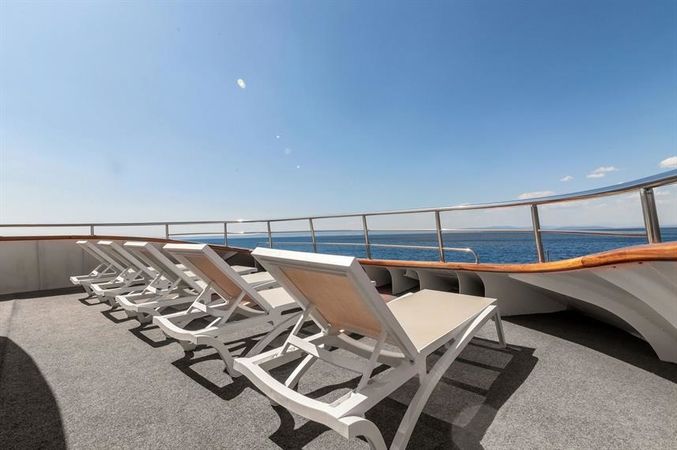 Custom Built 157 | Suzana