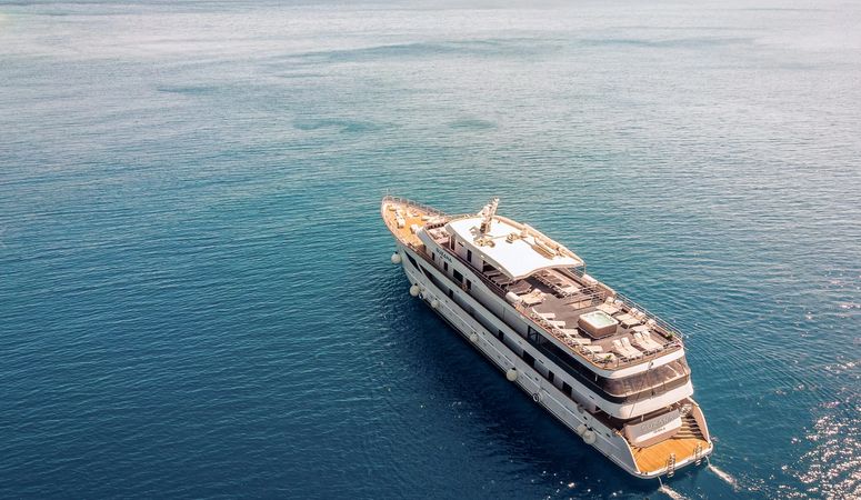 Custom Built 157 | Suzana