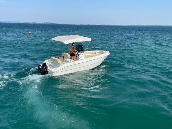 Mingolla Brava 18 | 14