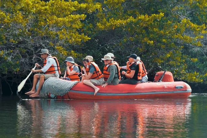 Custom Built 102 | Eco Galaxy