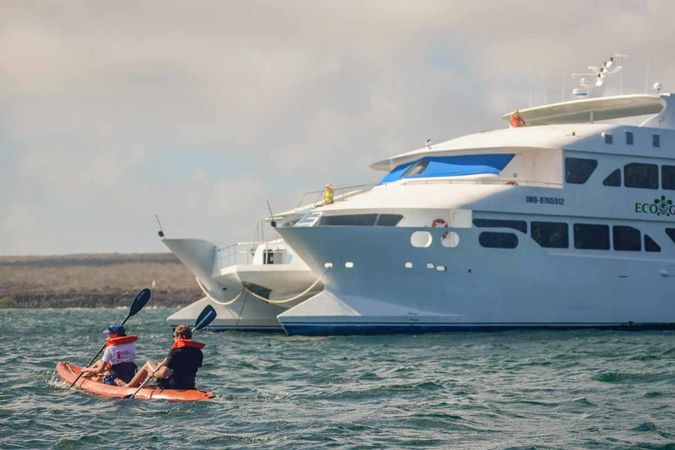 Custom Built 102 | Eco Galaxy