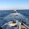 Cobra Yachts 40 | Kameleon