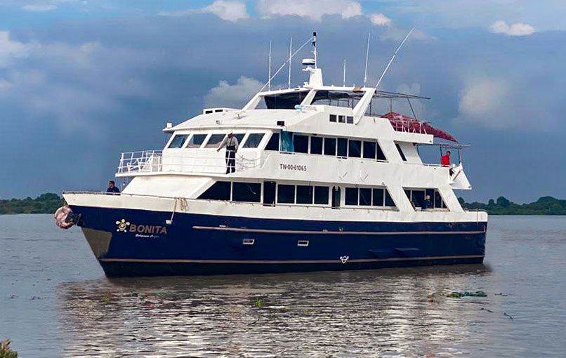 Custom Built 83 | Bonita