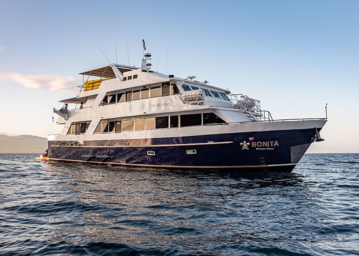 Custom Built 83 | Bonita