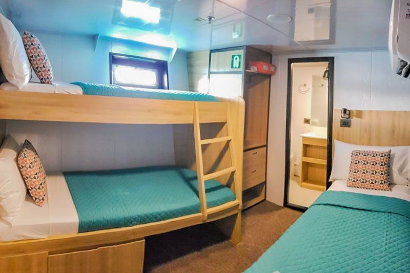 Custom Built 83 | Bonita