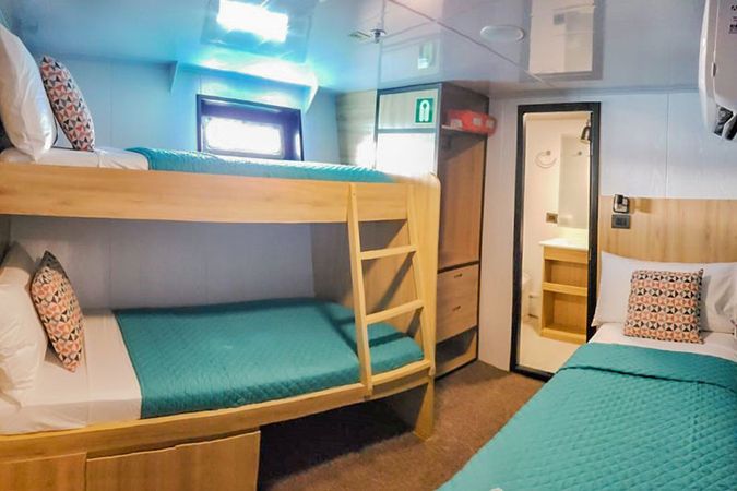 Custom Built 83 | Bonita