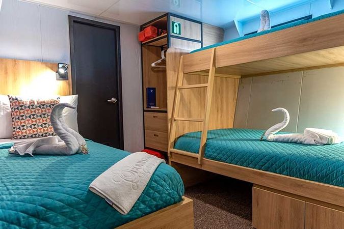 Custom Built 83 | Bonita