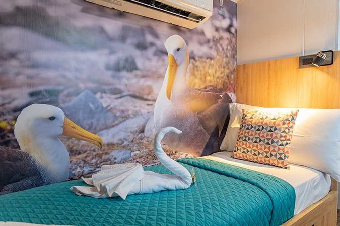 Custom Built 83 | Bonita