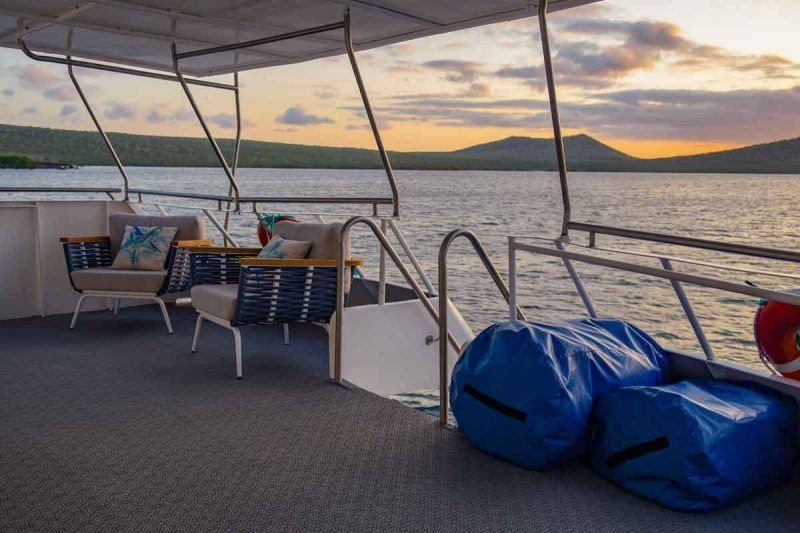 Custom Built 83 | Bonita