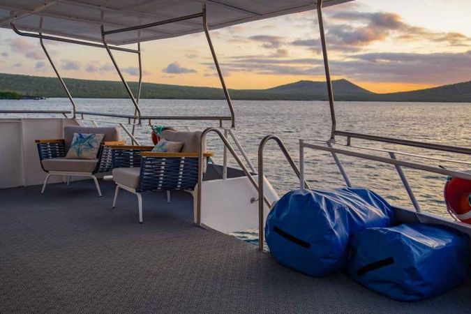 Custom Built 83 | Bonita