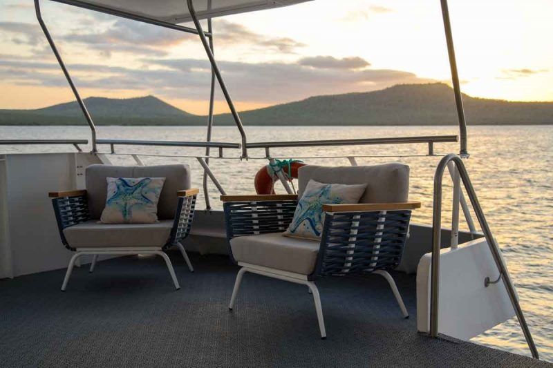 Custom Built 83 | Bonita