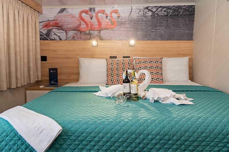 Custom Built 83 | Bonita