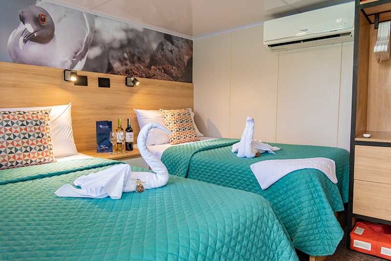 Custom Built 83 | Bonita