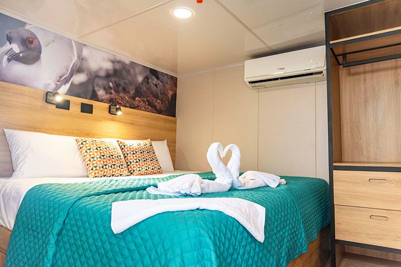 Custom Built 83 | Bonita