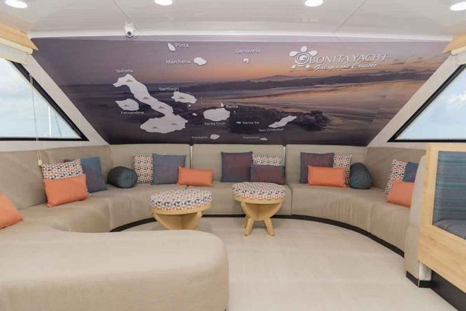 Custom Built 83 | Bonita