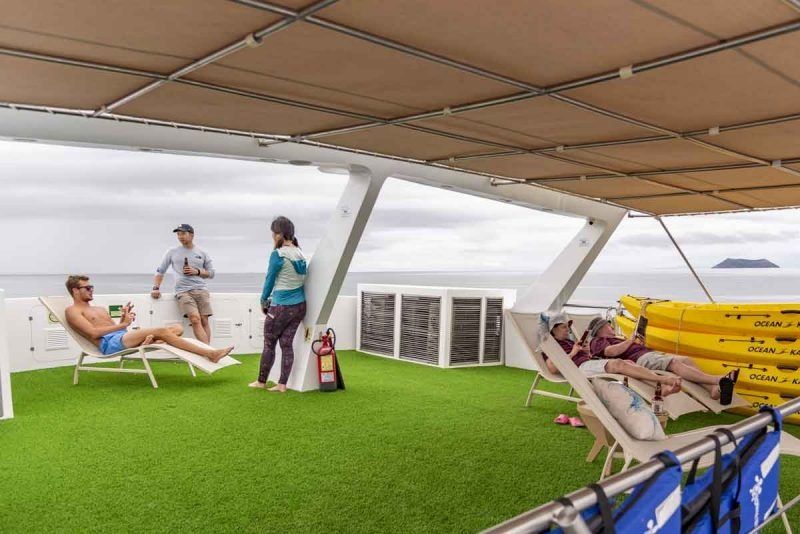 Custom Built 83 | Bonita