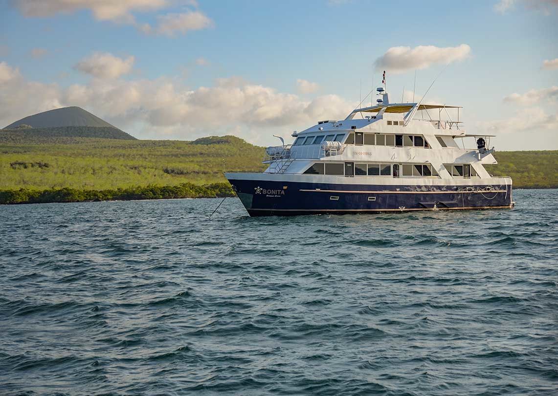 Custom Built 83 | Bonita