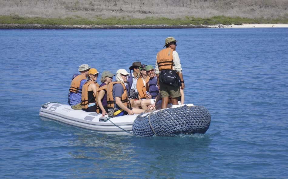 Custom Built 83 | Bonita