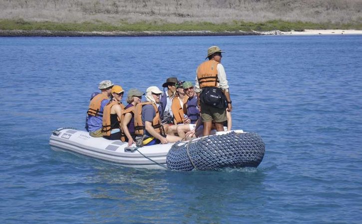 Custom Built 83 | Bonita