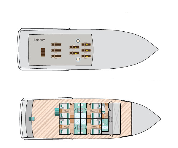 Custom Built 83 | Bonita