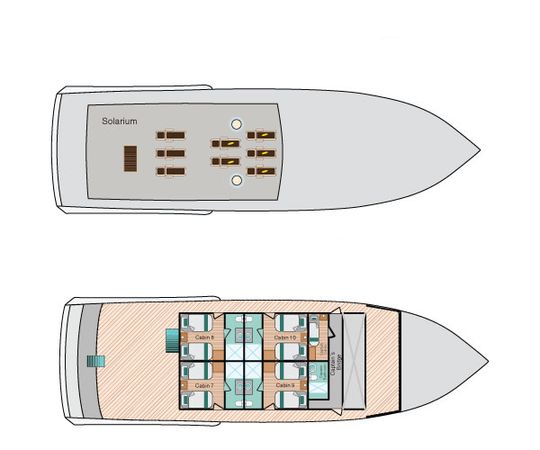 Custom Built 83 | Bonita