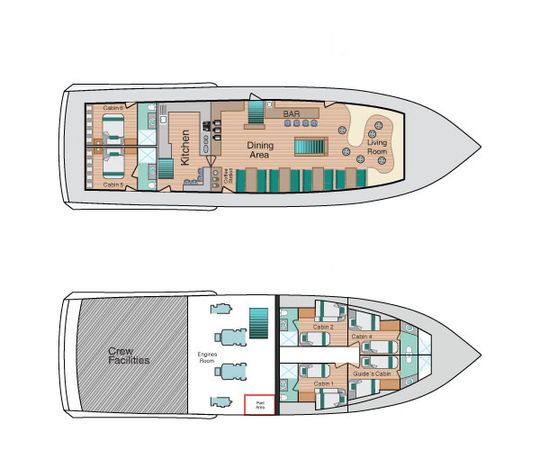 Custom Built 83 | Bonita