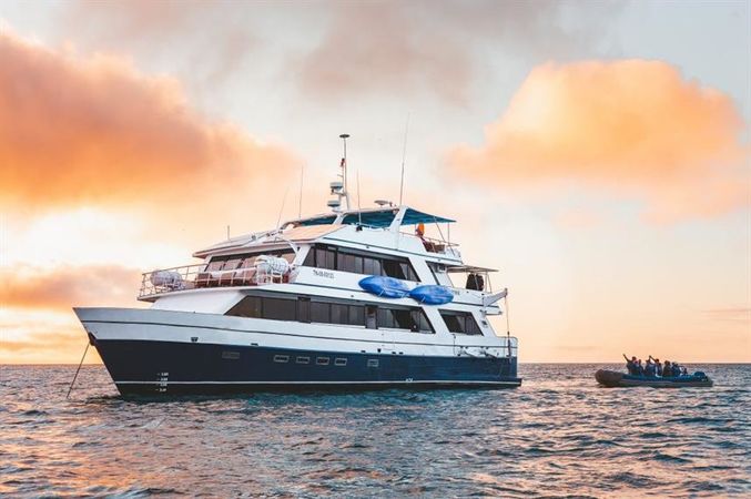 Custom Built 83 | Bonita