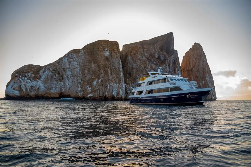 Custom Built 83 | Bonita