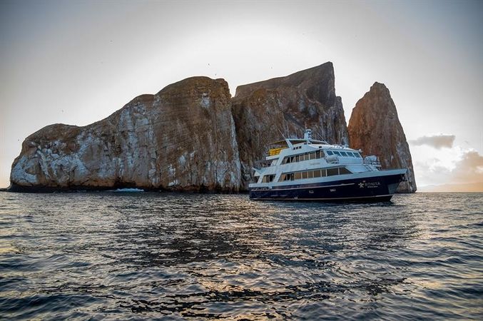 Custom Built 83 | Bonita