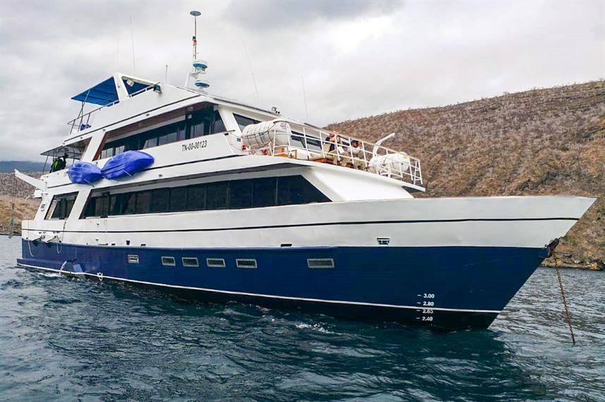 Custom Built 83 | Bonita