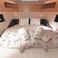 Hanse 460 | FeMi Star