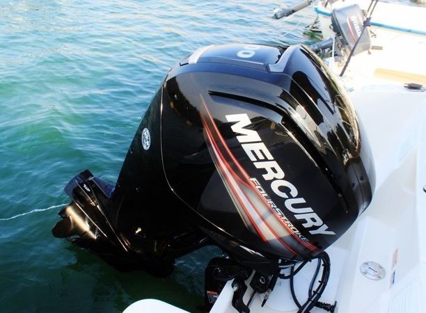 Quicksilver 555 Open | 19