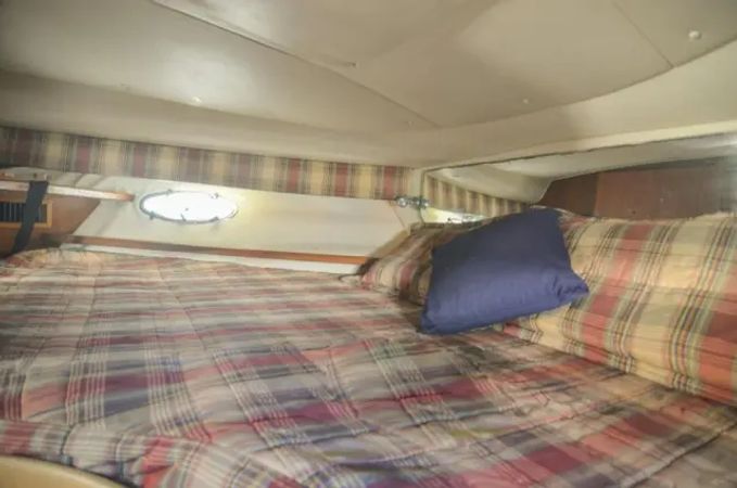 Tiara 3500 Express | Sugar