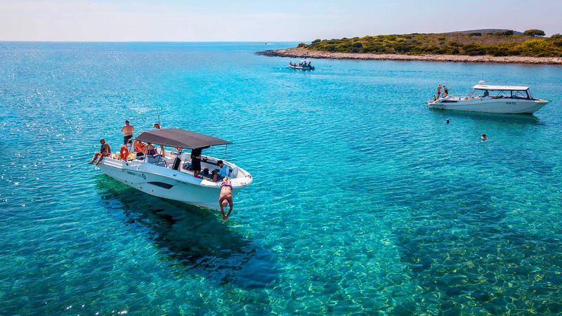 Mercan 36 | Mercan 2