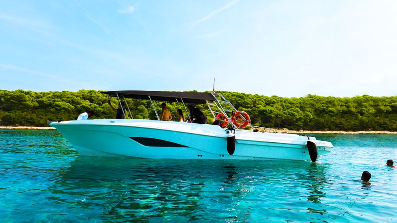 Mercan 36 | Mercan 2