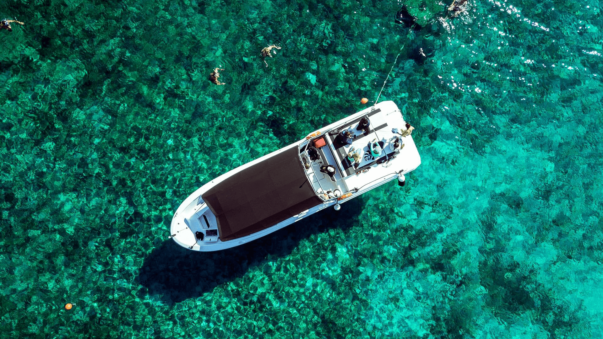 Mercan 36 | Mercan 2