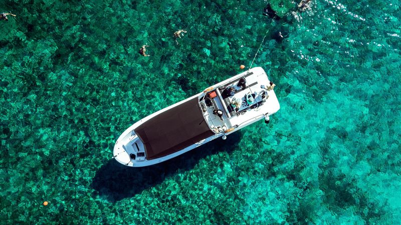 Mercan 36 | Mercan 2