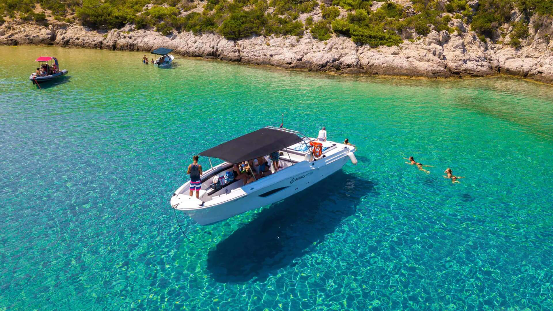 Mercan 36 | Mercan 2