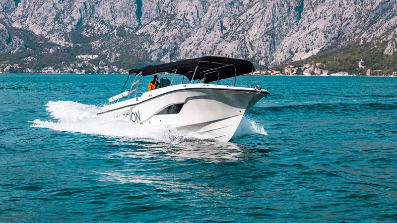 Mercan 36 | Mercan 2