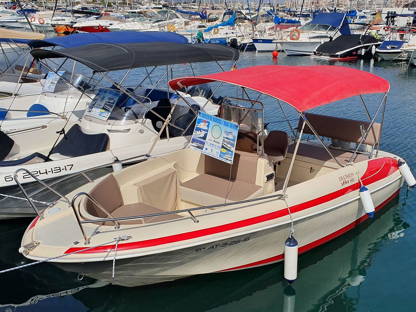 Sasanka 600 | Decision