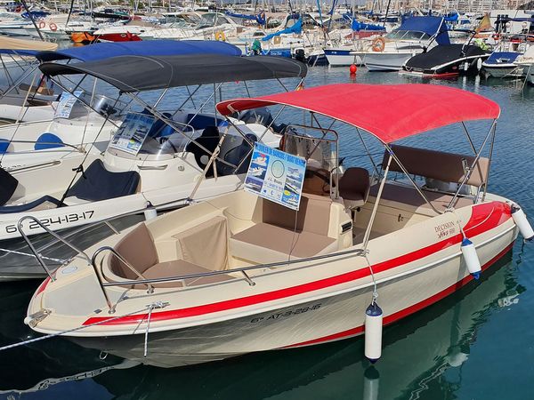 Sasanka 600 | Decision