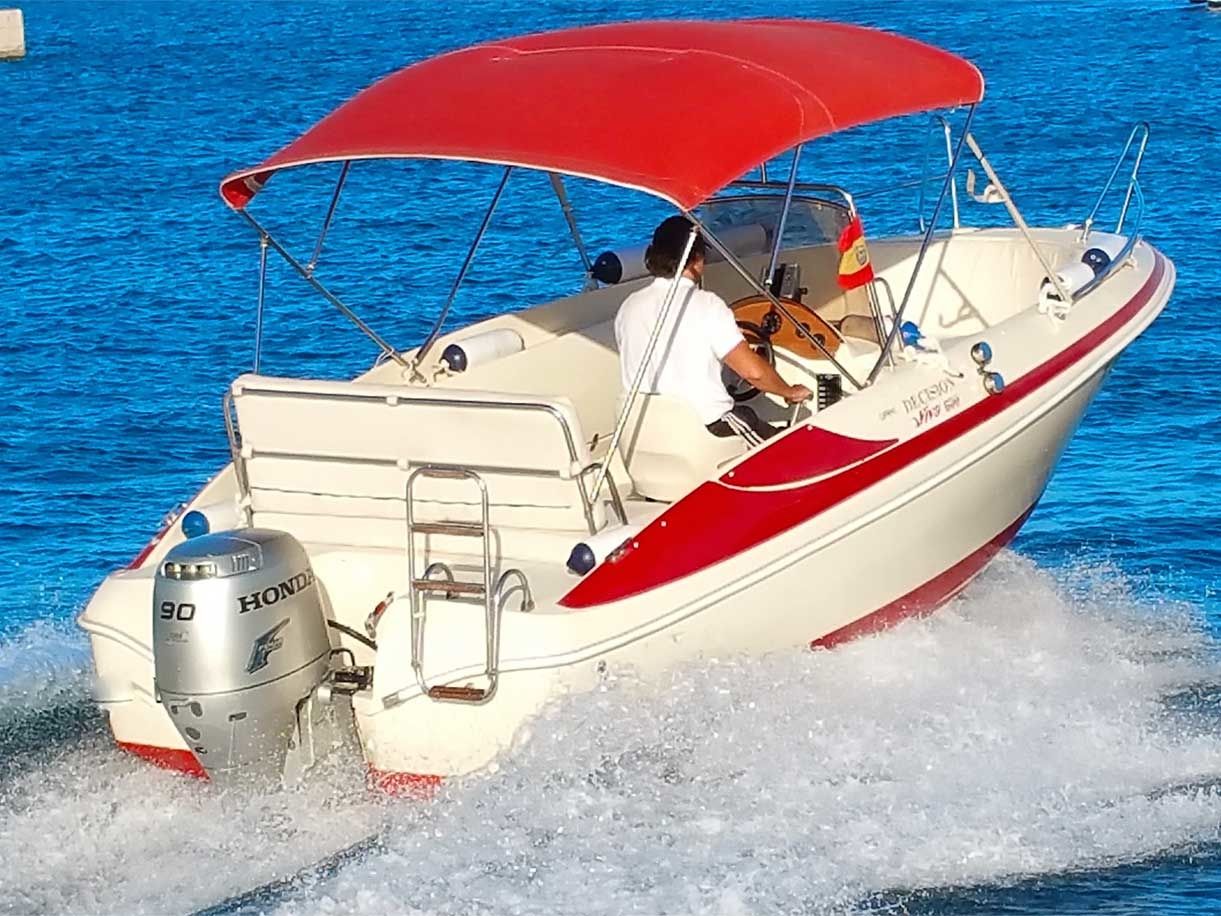 Sasanka 600 | Decision