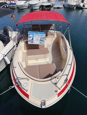 Sasanka 600 | Decision