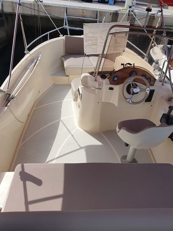 Sasanka 600 | Decision