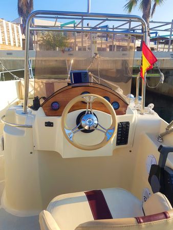 Sasanka 600 | Decision