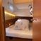 Jeanneau Sun Odyssey 380 | Mymia