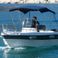 Poseidon Blu Water 170 | Arashi
