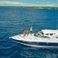Fairline 43 | Volare