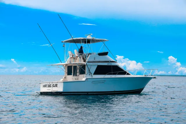 Pearson 40 | Mar Del Sur