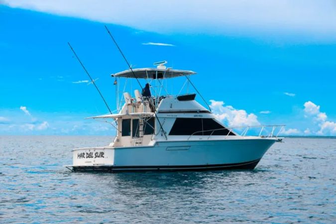 Pearson 40 | Mar Del Sur